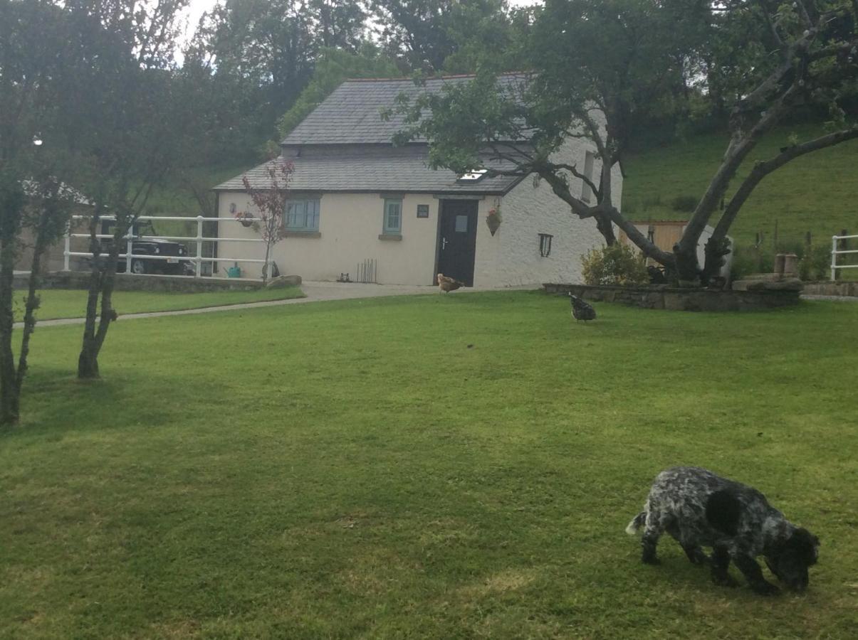 Villa The Little Cow Shed Swansea Exterior foto